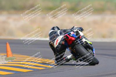 media/Oct-09-2022-SoCal Trackdays (Sun) [[95640aeeb6]]/Turn 14 Backside (1125am)/